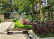 天御豪庭-环境绿化