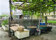 新城花园-环境绿化