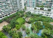 金成时代家园-俯瞰图