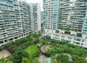 金成时代家园-俯瞰图