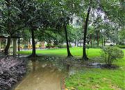 金成时代家园-环境绿化