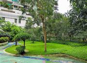 金成时代家园-环境绿化