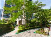 水榭春天花园（六期A区）-环境绿化