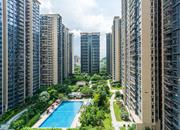 松茂御龙湾雅苑（一期）-俯瞰图