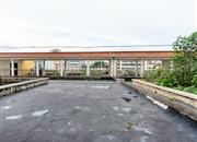 横岗联建楼-环境绿化