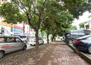 横岗联建楼-环境绿化