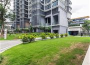 壹海城（二期）-环境绿化