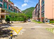 南山花园-环境绿化