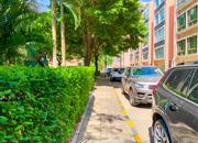 南山花园-环境绿化