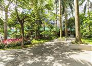 东湖大厦-环境绿化