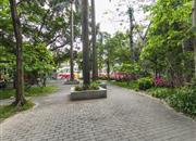 东湖大厦-环境绿化