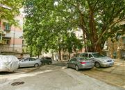 凤凰路58号大院-环境绿化