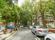 凤凰路58号大院-环境绿化