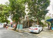 凤凰路58号大院-环境绿化