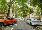 凤凰路58号大院-环境绿化