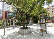 湖滨新村-环境绿化