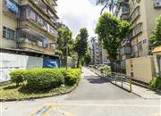 湖滨新村-环境绿化