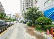 华丽花园-环境绿化