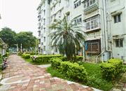 怡景花园-环境绿化