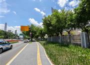 荔树人家-环境绿化