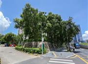 荔树人家-环境绿化