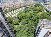 荔树人家-俯瞰图