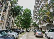 椰树花园-环境绿化