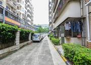 椰树花园-环境绿化