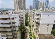 椰树花园-俯瞰图