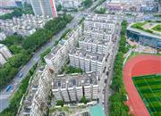 椰树花园-俯瞰图