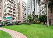 金地海景花园B区-环境绿化