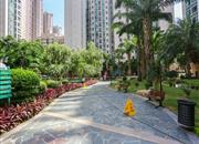 全海花园-环境绿化