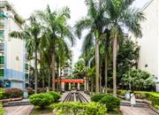 星光之约花园-环境绿化