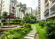 星光之约花园-环境绿化