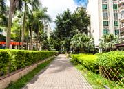 星光之约花园-环境绿化