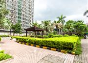 星光之约花园-环境绿化