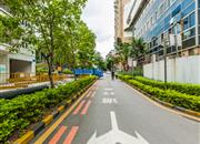 莲花一村-环境绿化