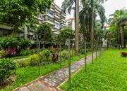 莲花一村-环境绿化