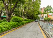 莲花一村-环境绿化