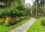 莲花一村-环境绿化