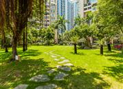 深业花园-环境绿化