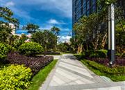 华创云轩-环境绿化