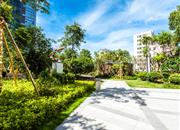 华创云轩-环境绿化