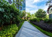 华创云轩-环境绿化