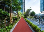 华创云轩-环境绿化