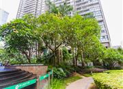 田厦翡翠明珠-环境绿化