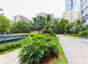田厦翡翠明珠-环境绿化