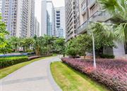 田厦翡翠明珠-环境绿化