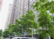 阳光里雅居-环境绿化