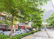 阳光里雅居-环境绿化